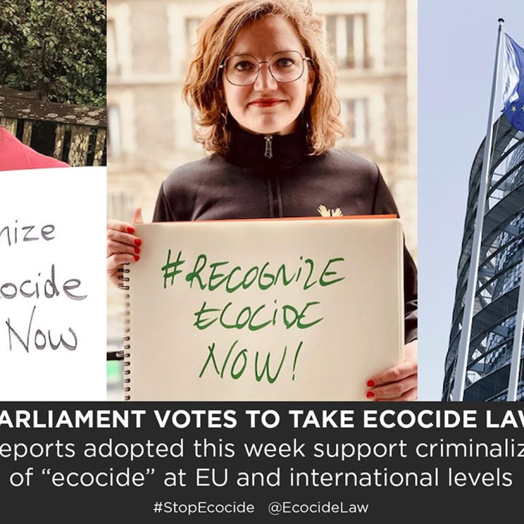 European parliament votes to take ecocide law seriously