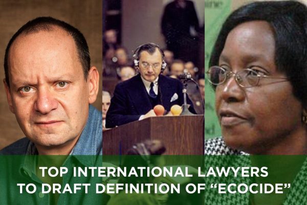 Internationell expertpanel ska ta fram en juridisk definition för ekocid